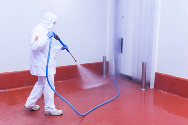 Boat and Dock Cleaning in Charlotte Harbor, FL