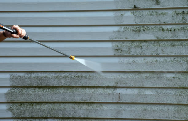 Professional Pressure Washing Services in Charlotte Harbor, FL
